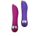 Vibrador Ponto G Golfinho