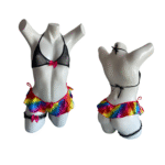 Mini Fantasia Arco Iris